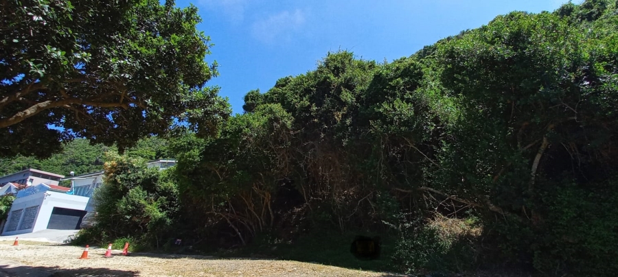 0 Bedroom Property for Sale in Wilderness Central Western Cape